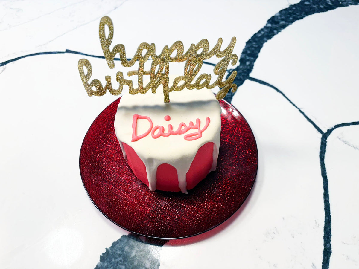 Organic Dog Birthday Gotcha Cake
