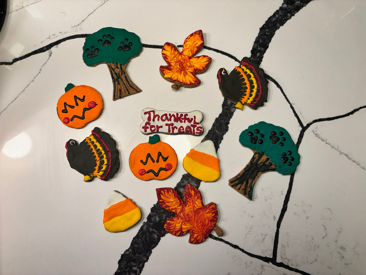 Thanksgiving Organic Dog Cookie Box