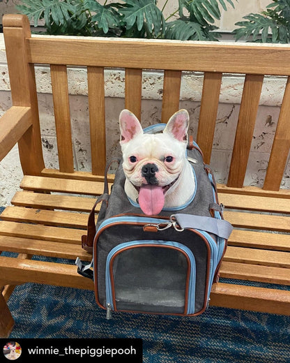 Mr. Peanut's Gold Series Big Apple XL Size Double Expandable Pet Carrier