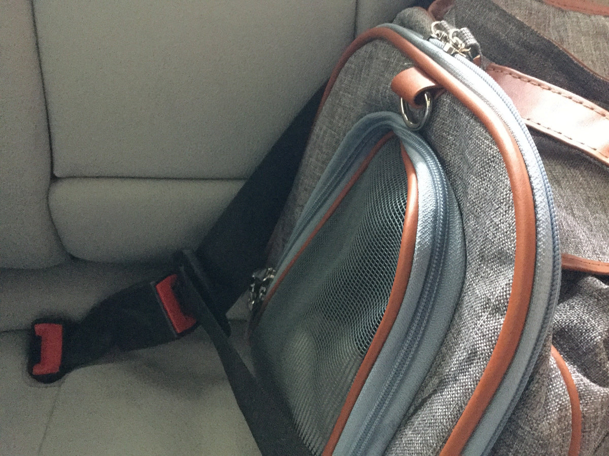 Mr. Peanut's Gold Series Big Apple XL Size Double Expandable Pet Carrier