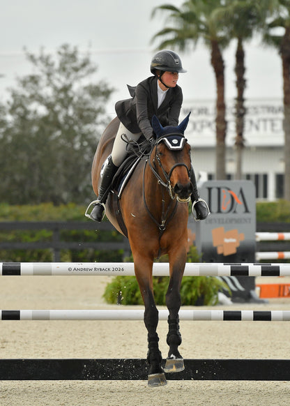 Horse Bonnet | Navy- Brown & White