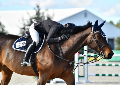 Horse Bonnet | Navy- Brown & White