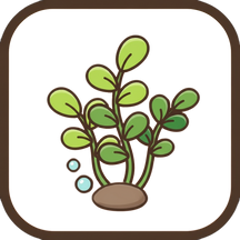 Live Aquatic Plants and More!
