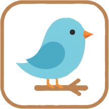 Bird Supplies – Your Feathered Friends’ Favorite Spot!
