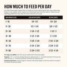Honest Kitchen Clusters Small Breed Grain Free Beef Dry Dog Food (4lb)