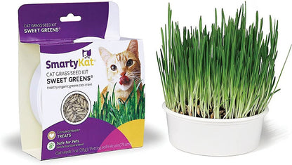 SmartyKat Sweet Greens Organic Oat Cat Grass Grow Kit