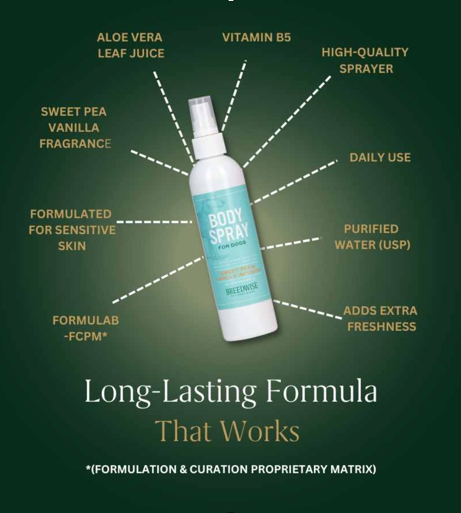Body Spray (12 Bottles) Wholesale
