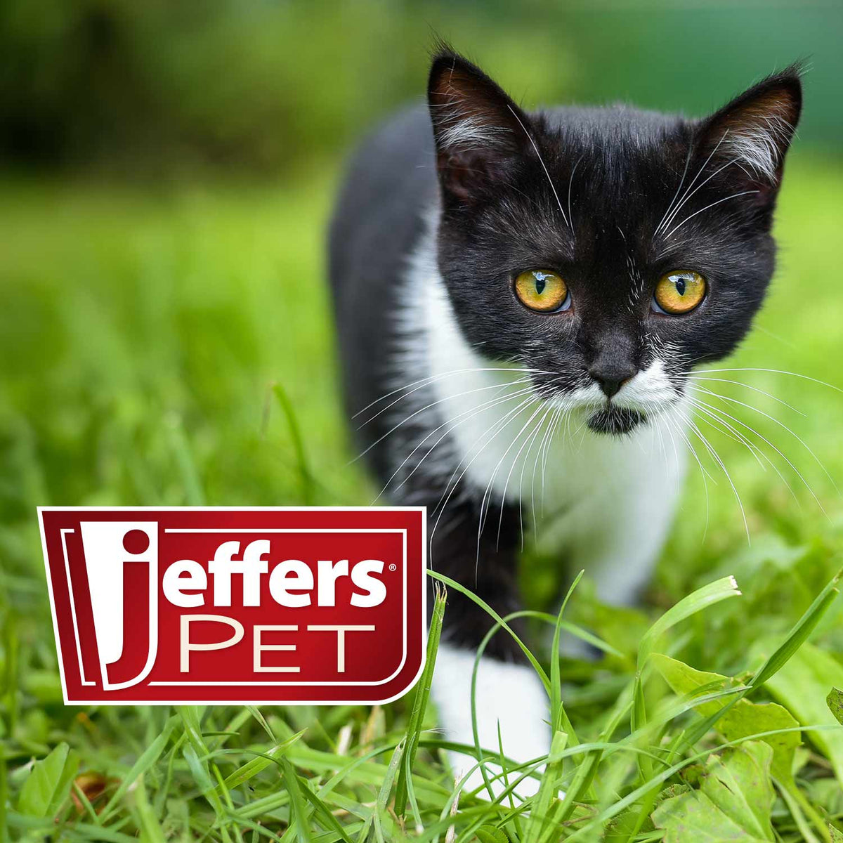 Jeffers Pet Nail File for Dog & Cat Nail Grooming, 7"L