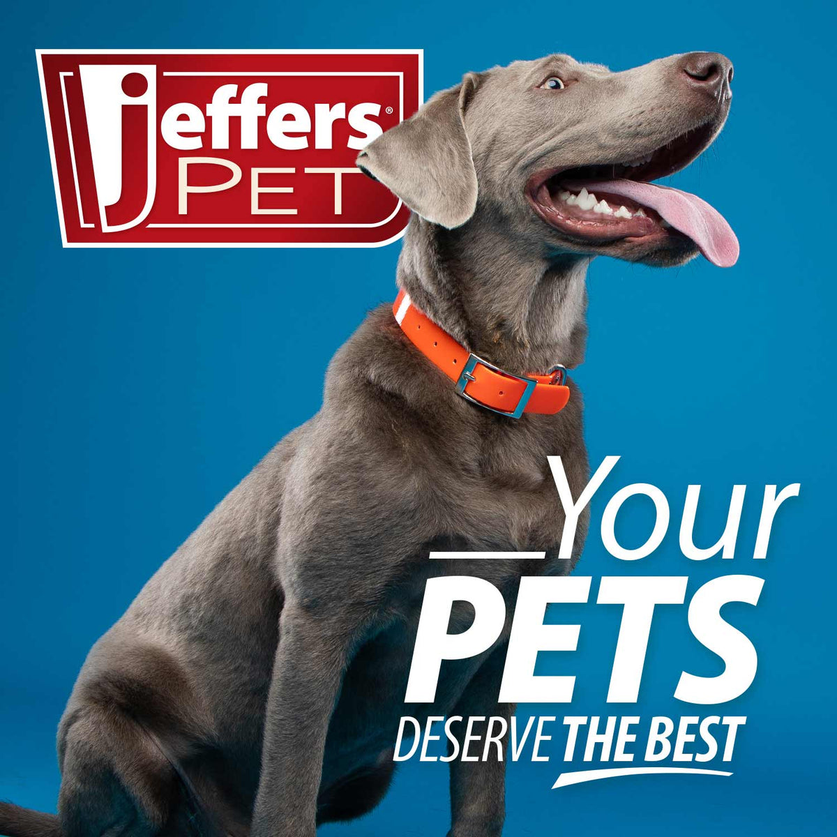 Jeffers Pet Nail File for Dog & Cat Nail Grooming, 7"L