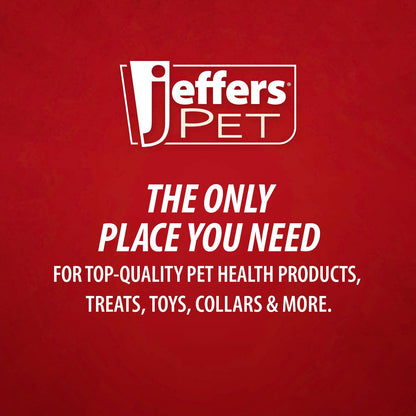 Jeffers Baby Carrot Natural Rubber Treat Dispensing Dog Dental Chew Toy