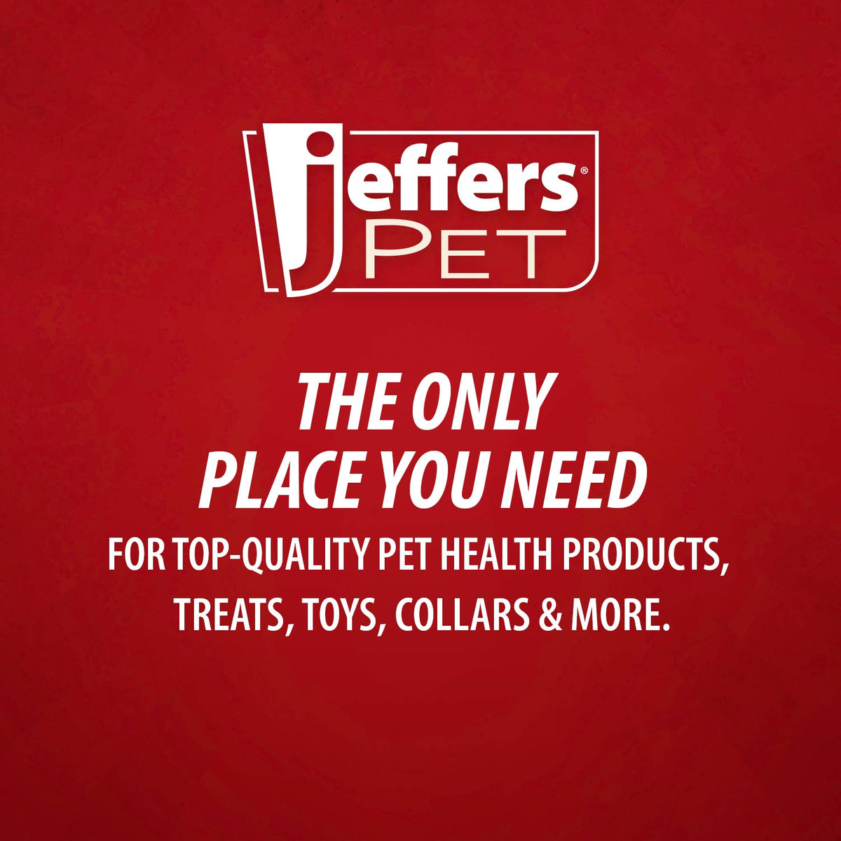 Jeffers Leaf Shaped Natural Rubber Dog Chew Toy with Dental Benefits and Vanilla Scent for Medium Chewers