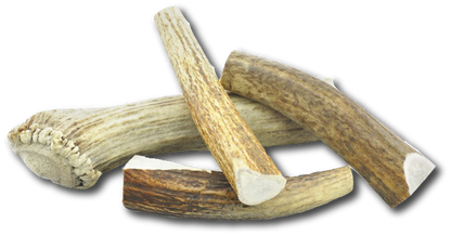 Large Elk Chew