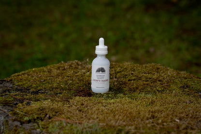 Organic Lion’s Mane Mushroom Tincture 2oz.