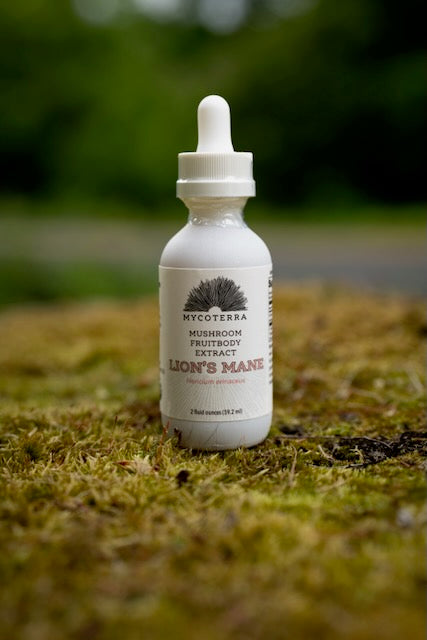 Organic Lion’s Mane Mushroom Tincture 2oz.