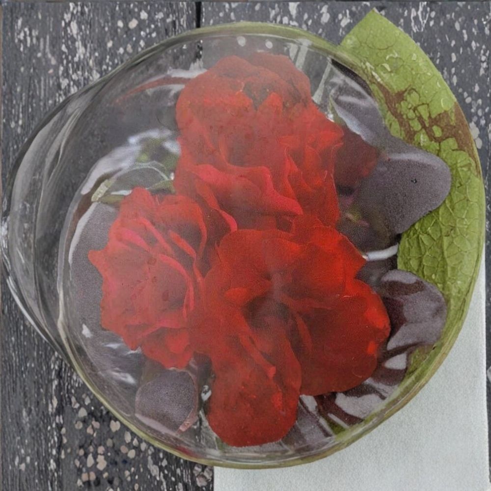 Europeana Floribunda Rose – Dark Crimson Red Rose Bush | 2 Gallon Live Plant