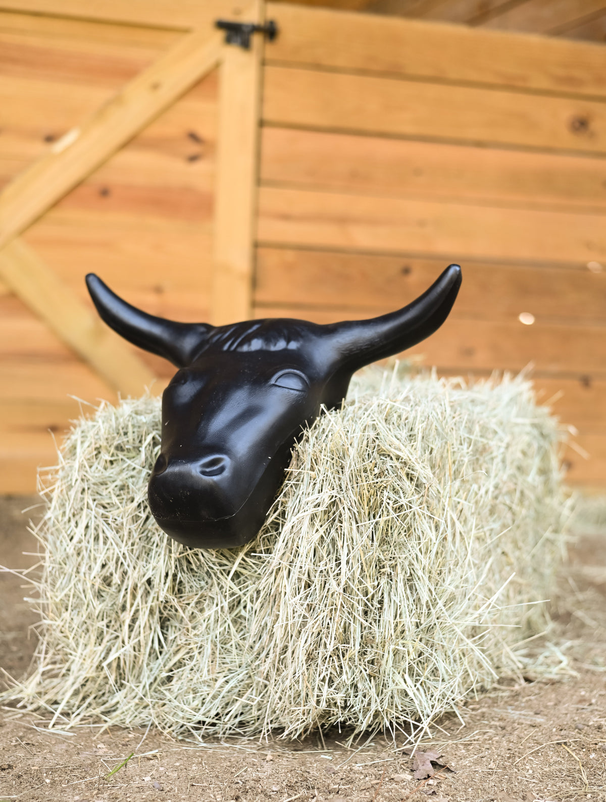 AJ Tack Adult Size 20" Horn Spread Steer Head Roping Dummy