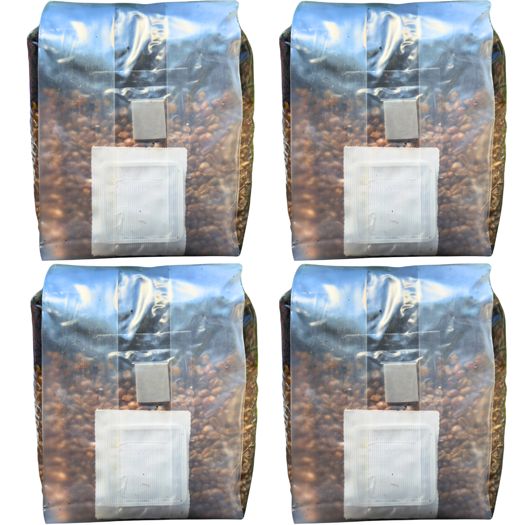 Mushroom Grow Kit - 4 Pack - All In One Mushroom Grow Bags