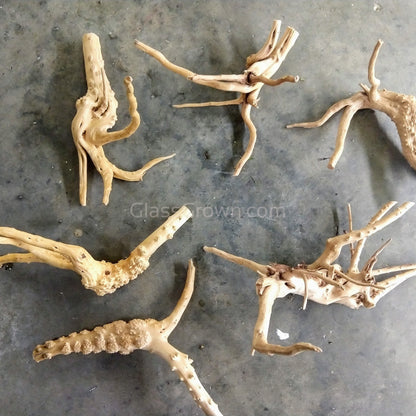 Spiderwood Driftwood Medium (6-10")