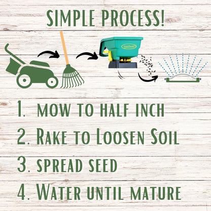 Simple Lawn Fine Fescue Grass Seed
