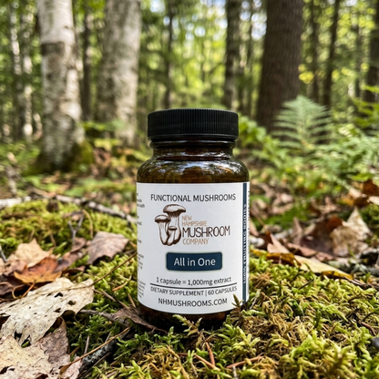 Anytime All in One Capsules- 7 Mushroom Blend for Daily Wellness