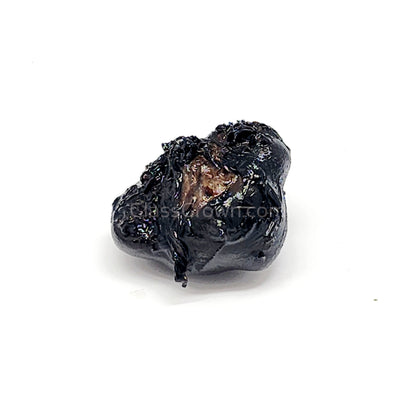 Dwarf Aquarium Lily Bulb