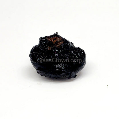 Dwarf Aquarium Lily Bulb