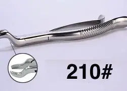 Dental Forcep #210