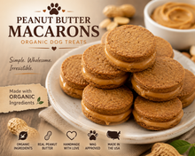 Peanut Butter Macaron Dog Treats | Handmade Sandwich Cookies for Dogs -Organic, Human-Grade