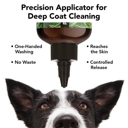 FLEA + TICK SHAMPOO