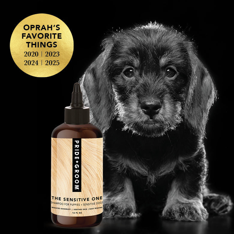 THE SENSITIVE ONE Hypoallergenic Dog & Puppy Shampoo — With Hemp Oil, Aloe & Oatmeal for Sensitive Skin