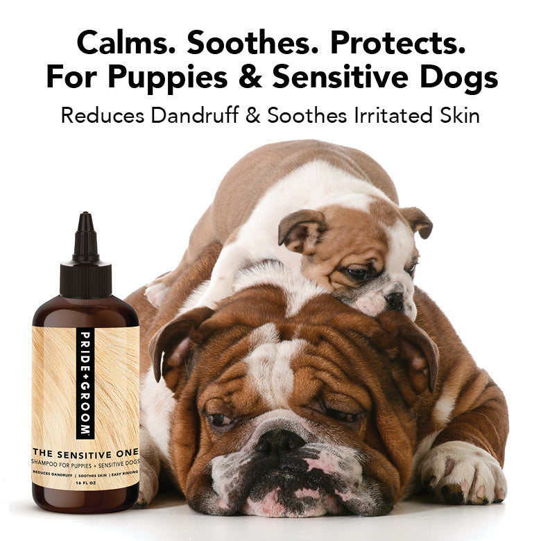 THE SENSITIVE ONE Hypoallergenic Dog & Puppy Shampoo — With Hemp Oil, Aloe & Oatmeal for Sensitive Skin