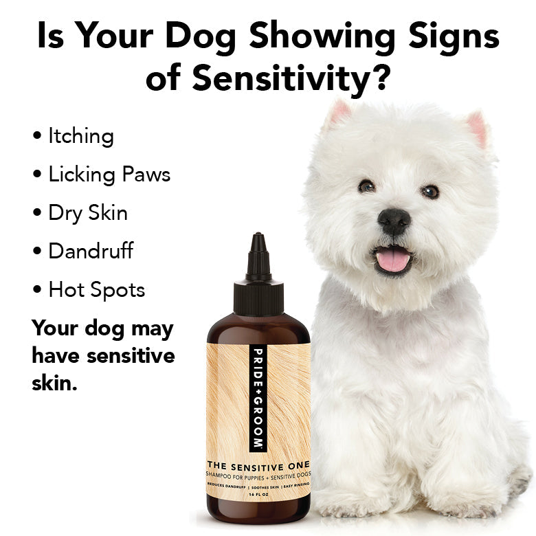 THE SENSITIVE ONE Hypoallergenic Dog & Puppy Shampoo — With Hemp Oil, Aloe & Oatmeal for Sensitive Skin