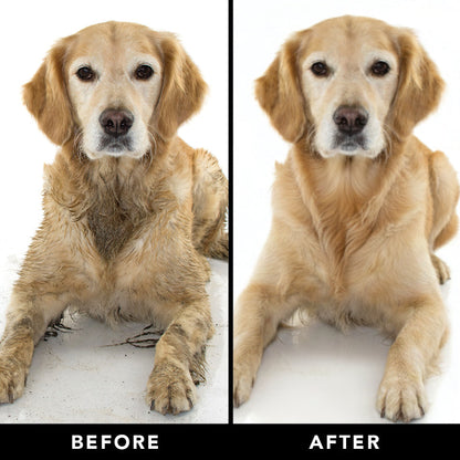 THE SENSITIVE ONE Hypoallergenic Dog & Puppy Shampoo — With Hemp Oil, Aloe & Oatmeal for Sensitive Skin
