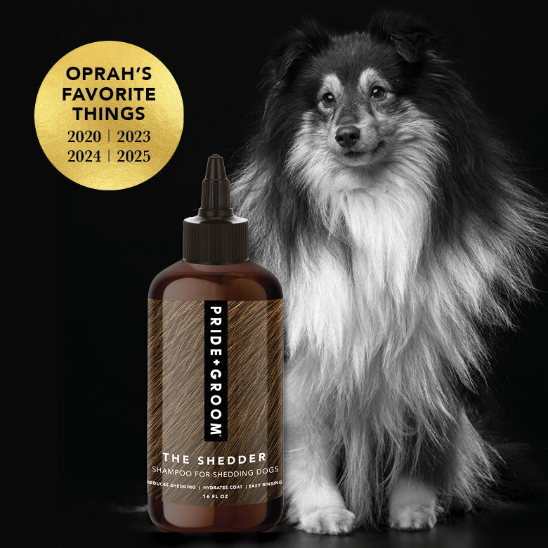 THE SHEDDER Dog Shampoo — Natural, Moisturizing De-Shedding Shampoo for Dogs Who Shed