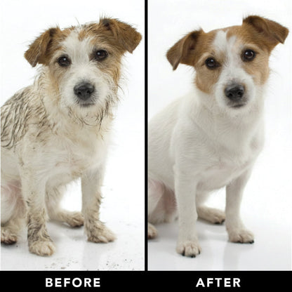 THE SHEDDER Dog Shampoo — Natural, Moisturizing De-Shedding Shampoo for Dogs Who Shed