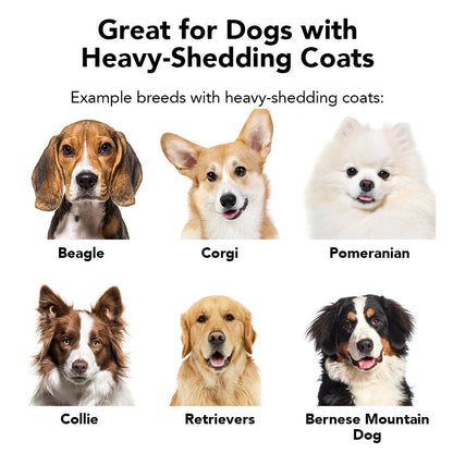 THE SHEDDER Dog Shampoo — Natural, Moisturizing De-Shedding Shampoo for Dogs Who Shed