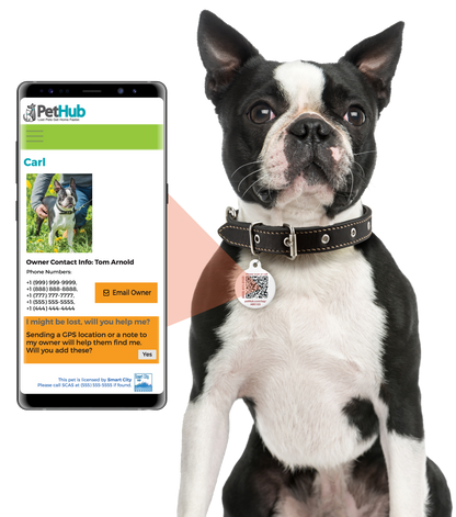 QR ID Pet Tag - Lost AF