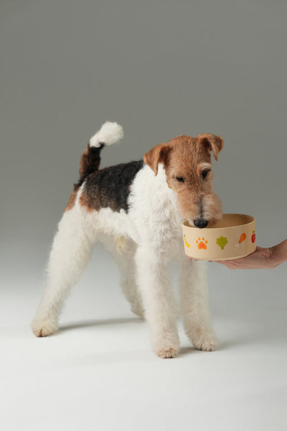 Nomnom Bowl