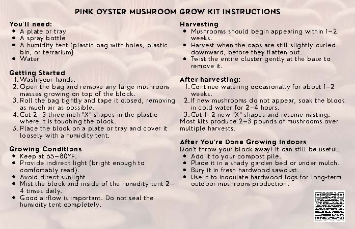 Pink Oyster Mushroom Grow Kit
