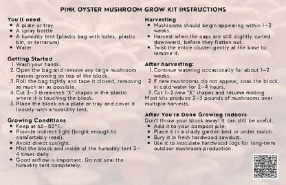 Pink Oyster Mushroom Grow Kit
