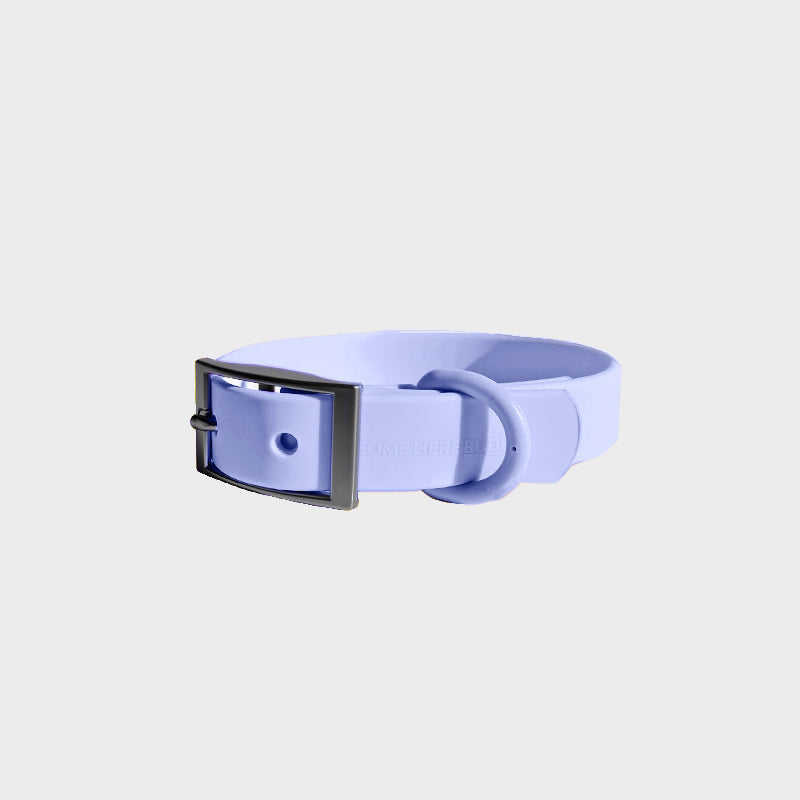 Everyday Collar