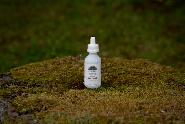 Organic Reishi Mushroom Tincture 2oz.