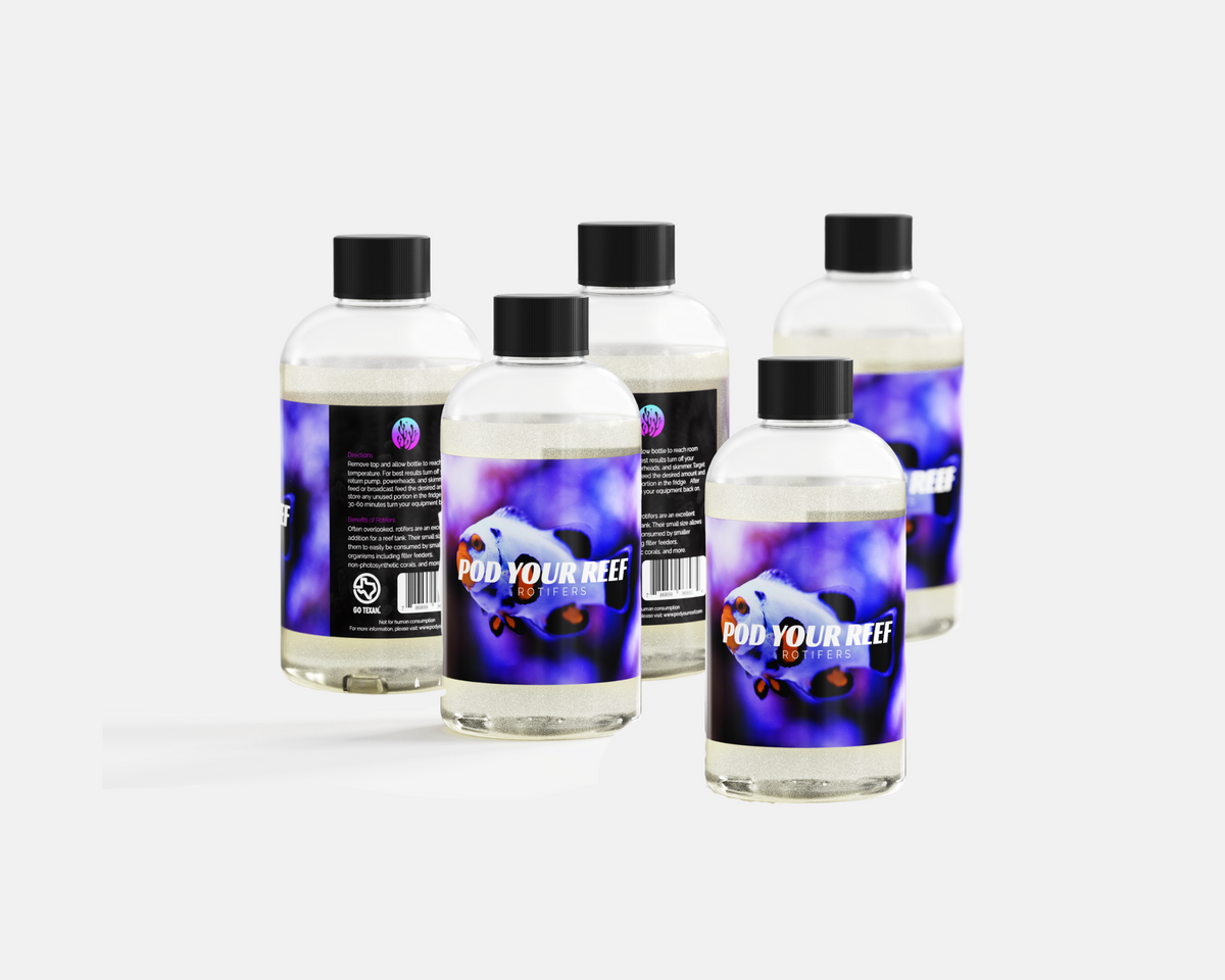 Brachionus plicatilis – Live Rotifer Feeding Pack (5 Bottles)