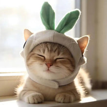 Funny Cat Dog Hat With Ears, Cute Pet Headgear Ear Opening Accessory For Small Medium Cats Dogs, Adorable Pet Costume Headwear