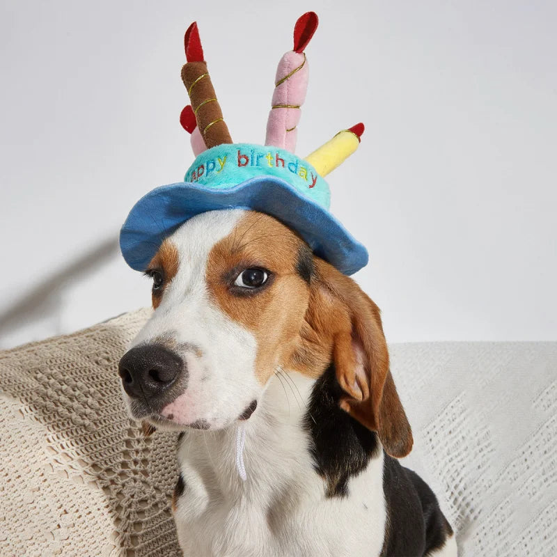 Pet candle-shaped hat, cute dog transformation hat, birthday cake hat, cat hat, pet costume clothing