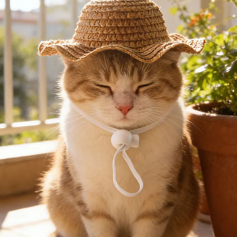 Pet Woven Straw Hat For Cats Cute Cat Headwear Fashion Pet Costume Accessories For Photo Shoot Pet Dress Up Supplies
