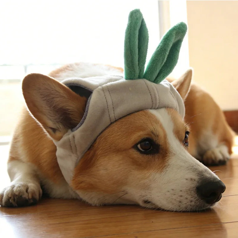 Funny Cat Dog Hat With Ears, Cute Pet Headgear Ear Opening Accessory For Small Medium Cats Dogs, Adorable Pet Costume Headwear