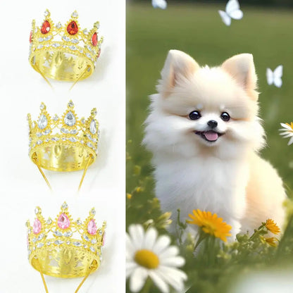 Pet Crown Hat with Adjustable String, Cute Dog Cat Tiara Headband for Birthday, Party, Photo Shoot, Pet Costume Accessory