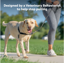 Petsafe Easy Walk Dog Harness Black Small
