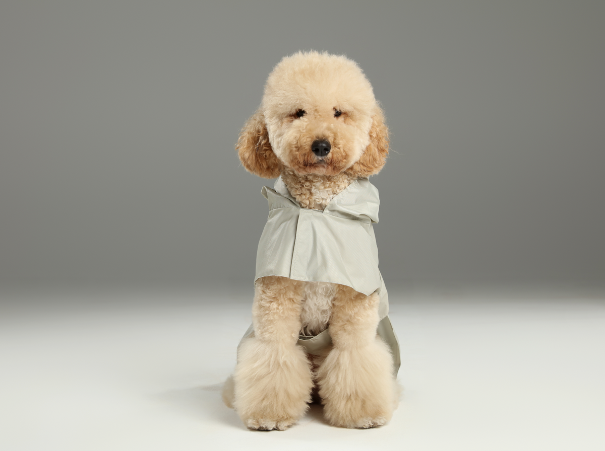 Capsule Raincoat - Beige